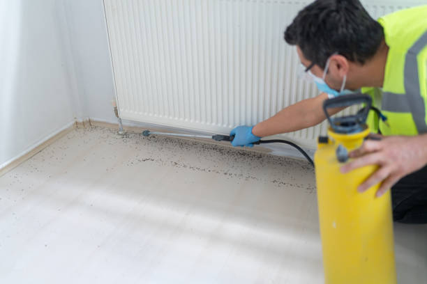 Pest Prevention Services in Cape May Court House, NJ